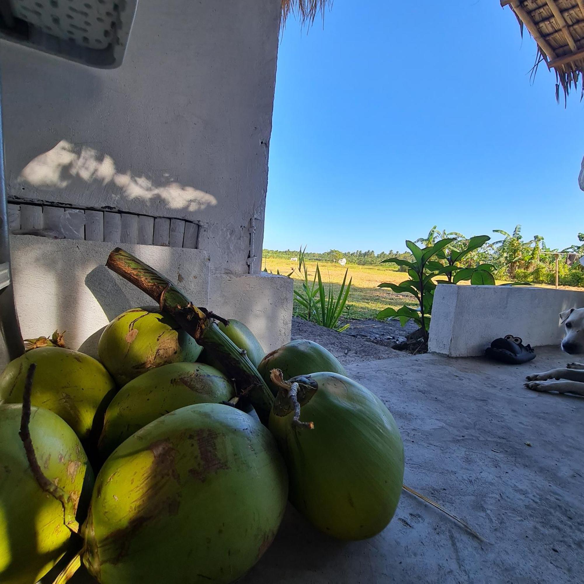 Casa Juan Farm Hotell Candelaria  Exteriör bild